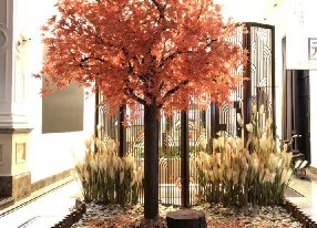 仿真紅楓樹(shù)