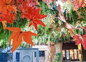 餐廳仿真植物吊頂
