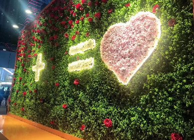 室內(nèi)植物墻做法及養(yǎng)護