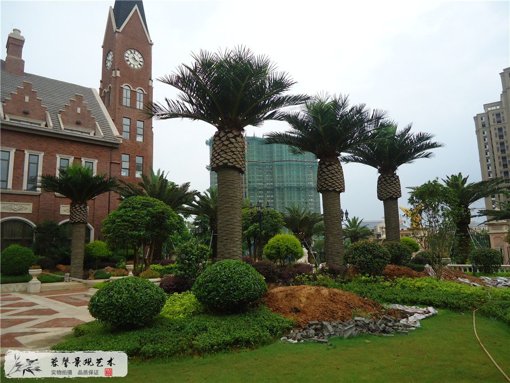 成都仿真玻璃鋼大樹綠化工程制作案例，福建龍旺地產(chǎn) (9)
