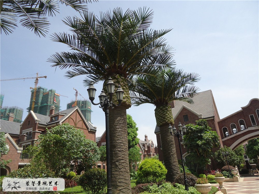 成都仿真玻璃鋼大樹綠化工程制作案例，福建龍旺地產(chǎn) (8)