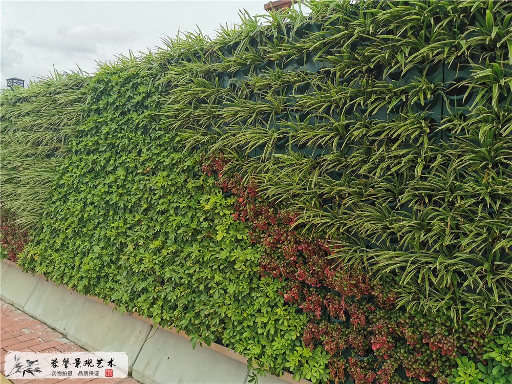 廣州琶洲會展中心垂直綠化植物墻圍擋案例 (2)