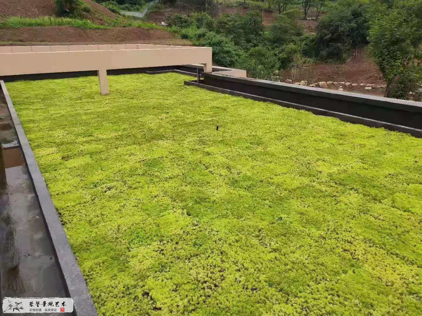 農(nóng)莊屋頂綠化