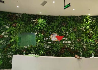 小小科學(xué)潮人前臺(tái)植物墻