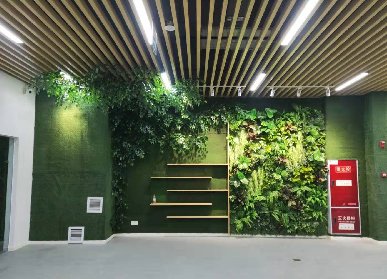 教育館綠植設計方案
