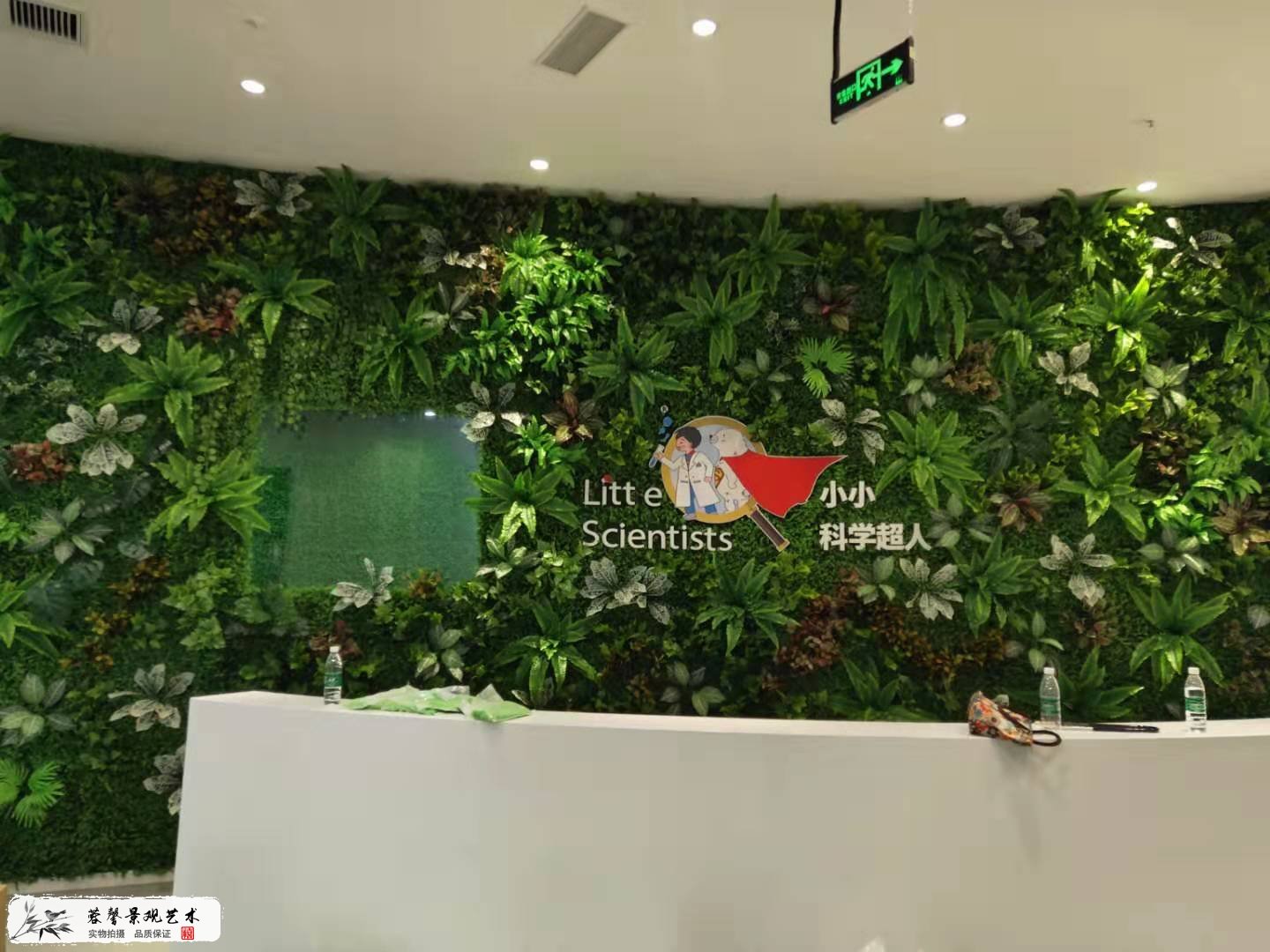 前臺(tái)仿真植物墻