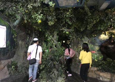 仿真植物仿真樹的應(yīng)用