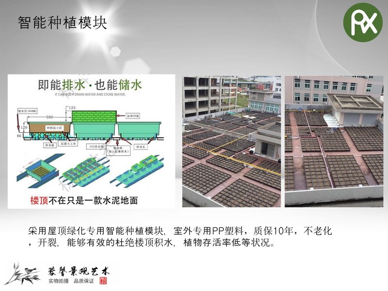 大華集團屋頂綠化