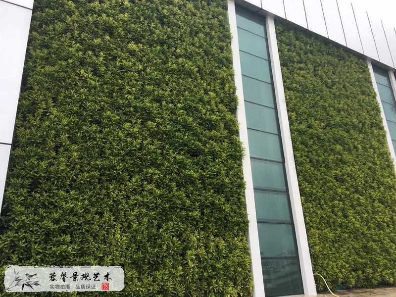 惠州名揚城外垂直綠化