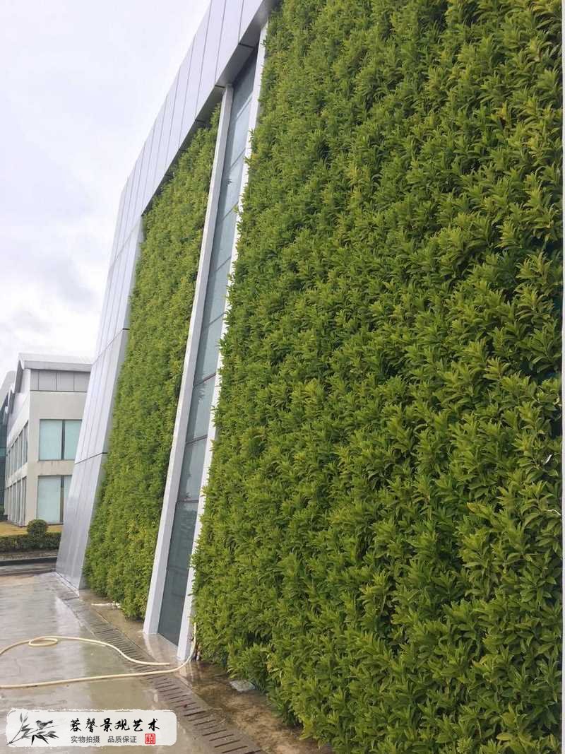 惠州名揚城外垂直綠化