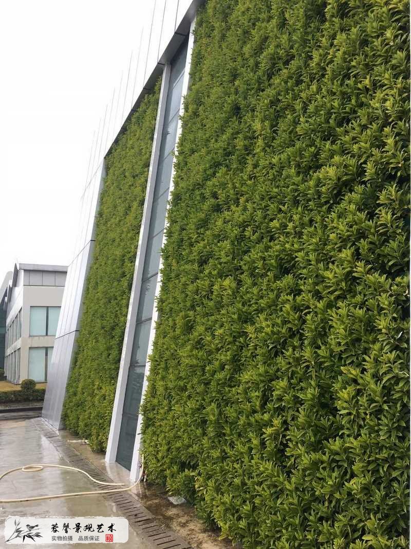 惠州名揚城外垂直綠化