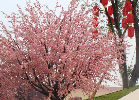仿真樹(shù)裝飾