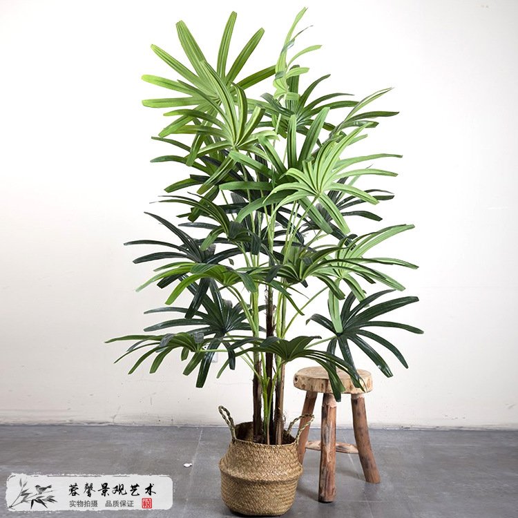 仿真葵樹的價格多少