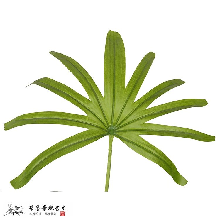 仿真葵樹的價格多少