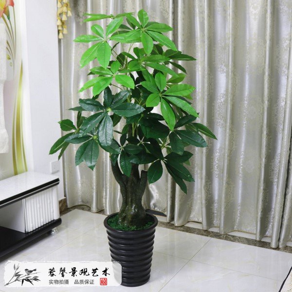 仿真發(fā)財樹多少錢