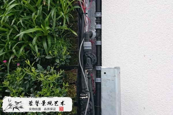 房地產圍擋植物墻