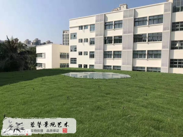 學(xué)校屋頂綠化