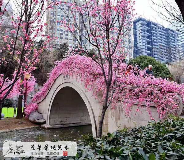 仿真桃花樹(shù)造景