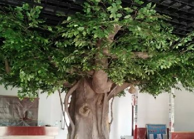 仿真樹(shù)包柱子樹(shù)定制