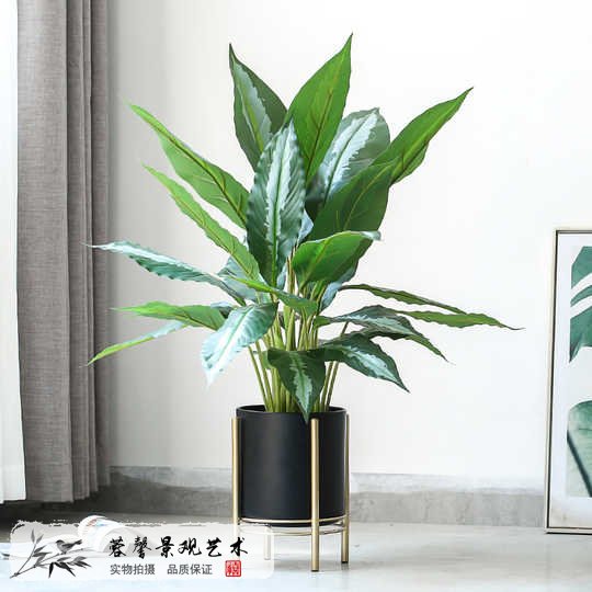 室內(nèi)仿真樹(shù)裝飾