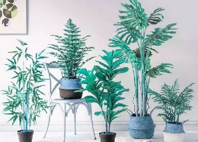 室內仿真植物