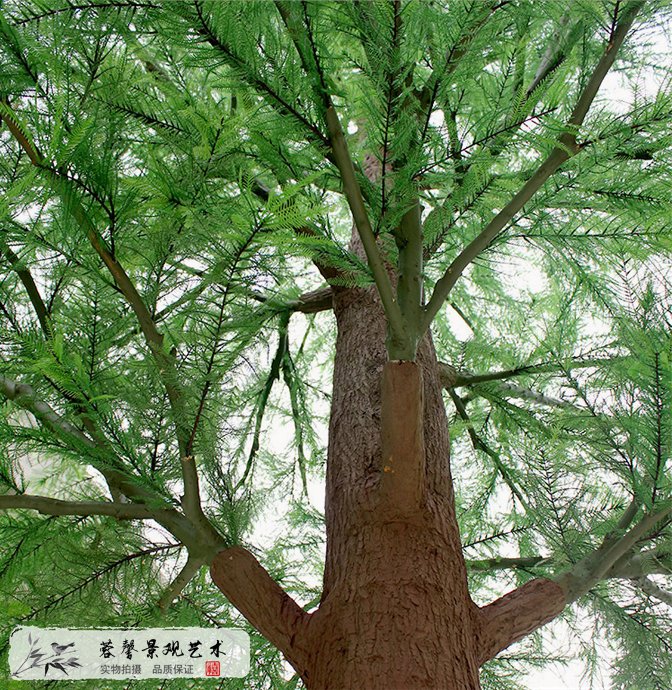 仿真水杉樹(shù)