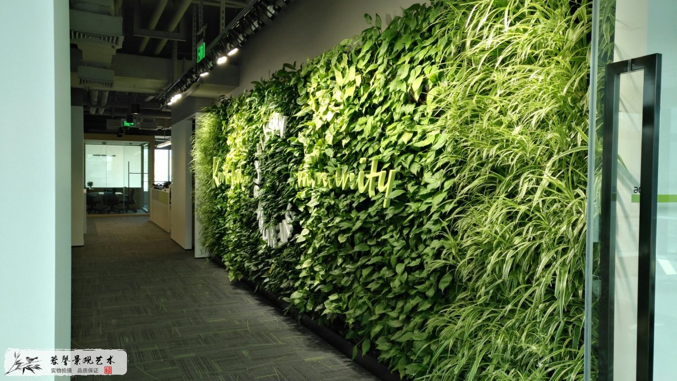 室內(nèi)植物墻的設(shè)計(jì)和好處