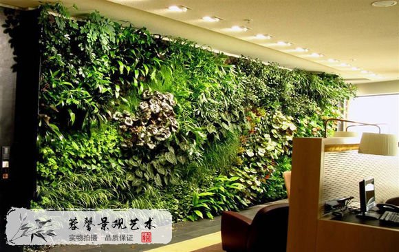 室內(nèi)植物墻的設(shè)計(jì)和好處