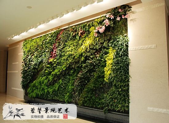 室內(nèi)植物墻的設(shè)計(jì)和好處