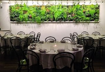 室內(nèi)植物墻設(shè)計