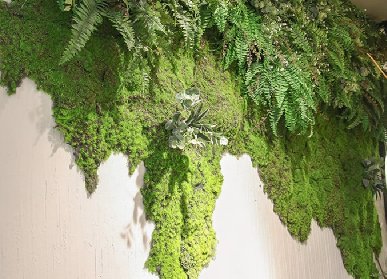 背景植物墻設計
