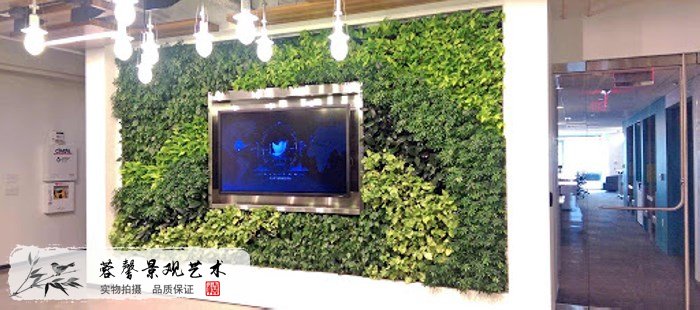 背景植物墻設計