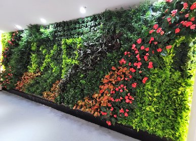 植物墻設(shè)計