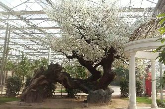 水泥仿真桃花樹(shù)