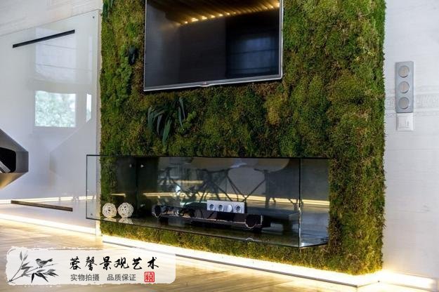 電視背景苔蘚植物墻