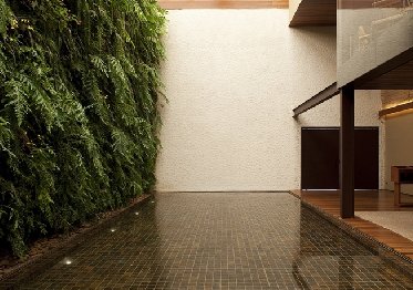 植物墻設(shè)計(jì)