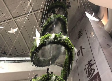 仁壽垂直綠化廠(chǎng)家