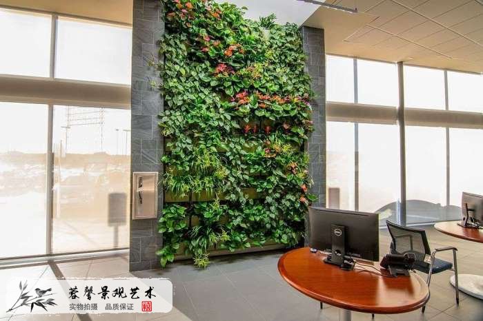 室內(nèi)植物墻設(shè)計(jì)