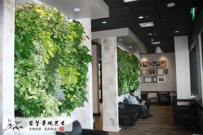 室內(nèi)植物墻設(shè)計(jì)
