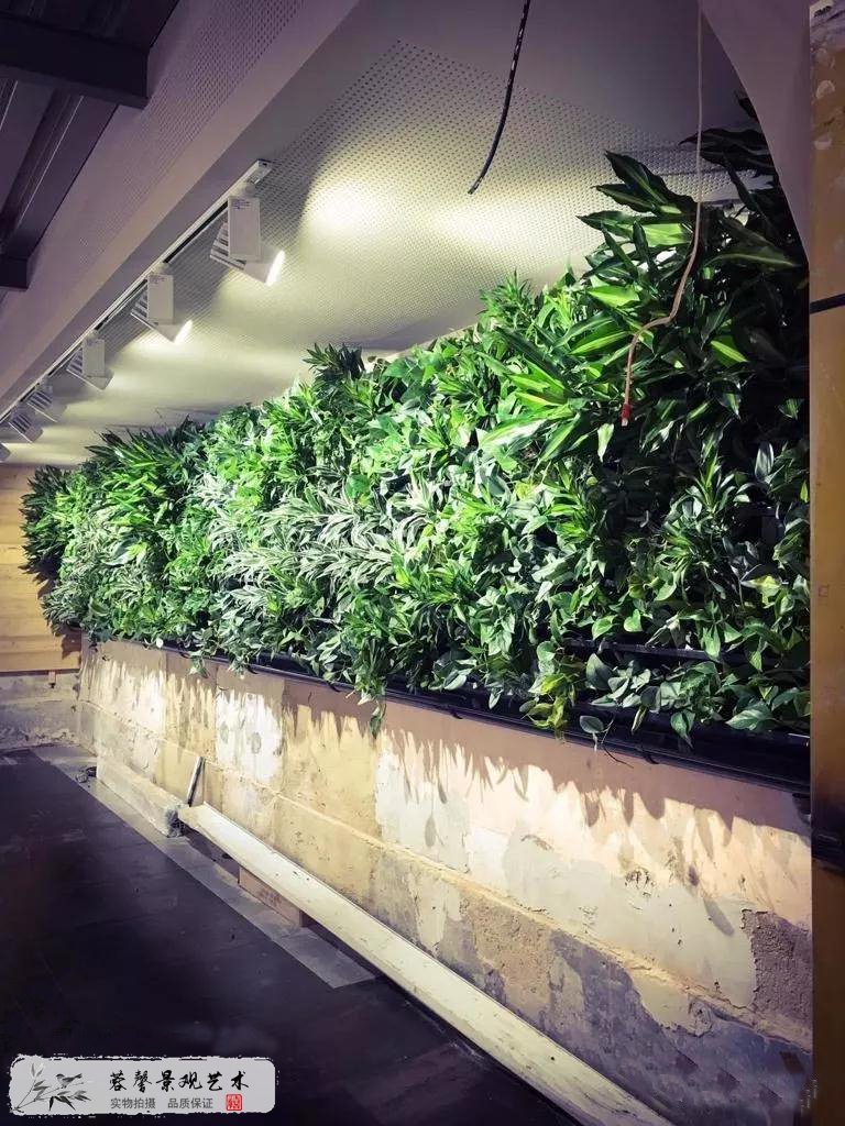 植物墻養(yǎng)護