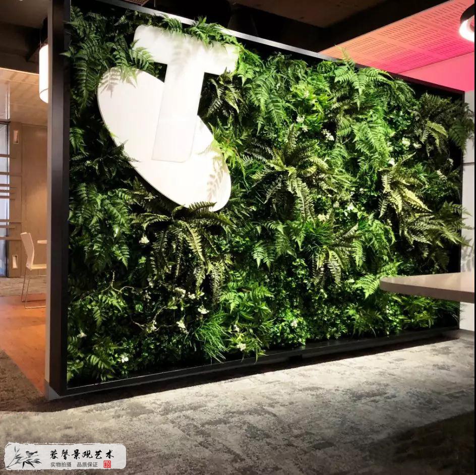 植物墻養(yǎng)護