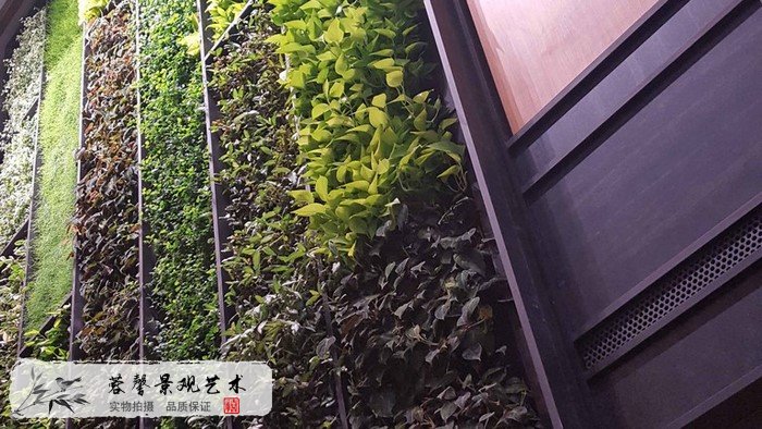 植物墻設(shè)計制作