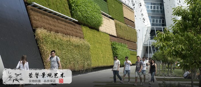 植物墻設(shè)計制作