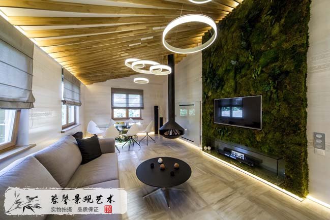 家庭室內植物墻