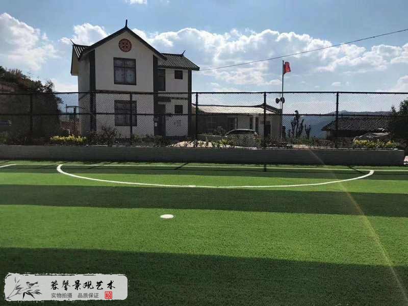 足球場(chǎng)人工草坪