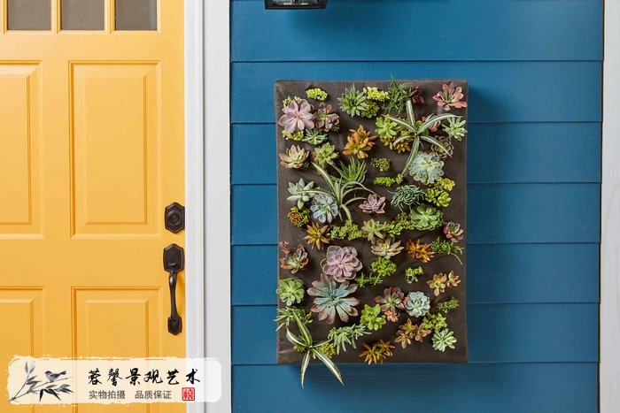 墻體植物墻