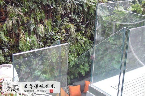 室內(nèi)外植物墻優(yōu)勢