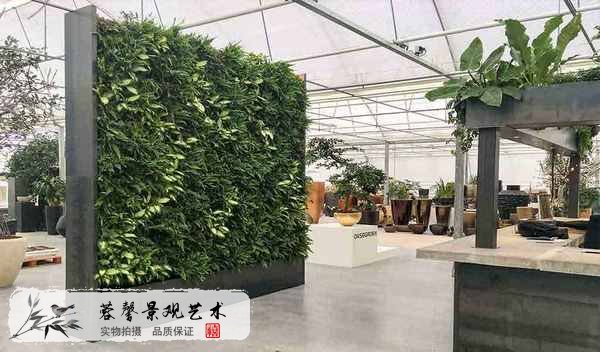 室內(nèi)外植物墻優(yōu)勢
