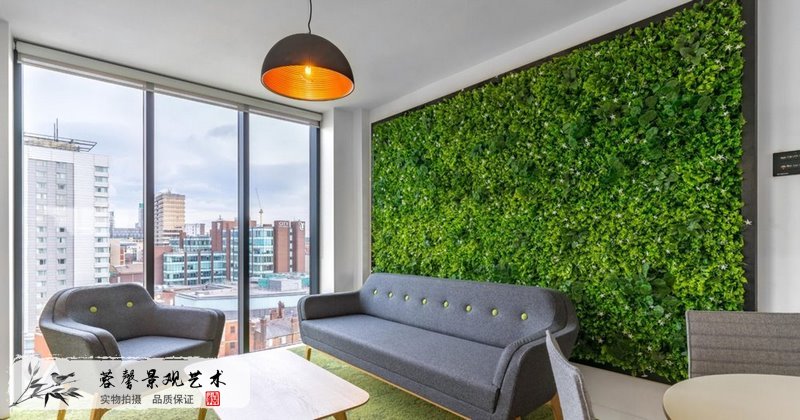 室內(nèi)植物墻養(yǎng)護(hù)