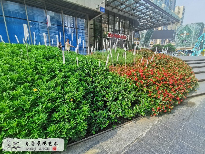 商場室外花鏡